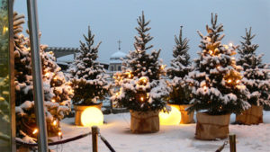 Tannenbaum Wald mit Lichter Kugel Deko für Advent und Weihnachten